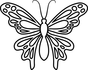 Hand Drawn Butterfly Line Art
