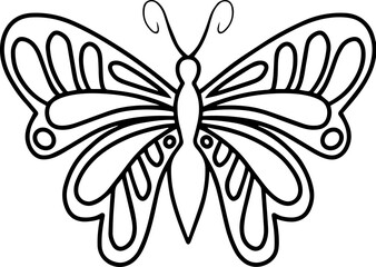 Butterfly Line Art Illustration
