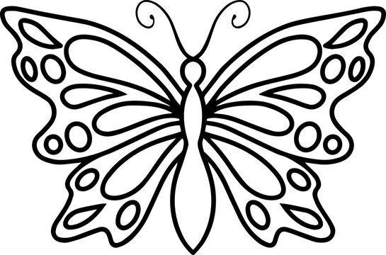 recommend clip art: Illustration Butterfly Hand Drawn