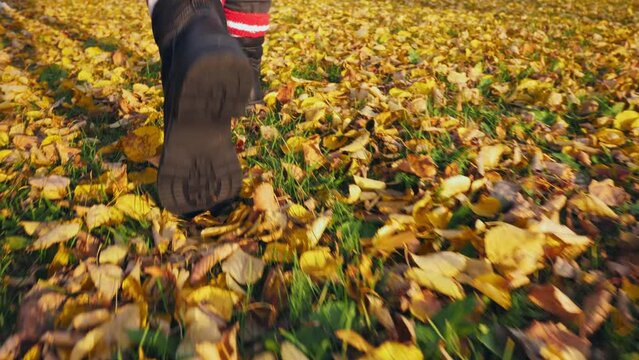 slow motion rear view close up women's feet in black boots walk on the yellow autumn foliage, dark sole stepping footpath with golden leaves, copy space