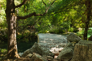 Beautiful Deep Green River Bed in Sillans-la-Cascade, France