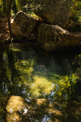 Beautiful Deep Green River Bed in Sillans-la-Cascade, France