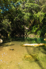 Beautiful Deep Green River Bed in Sillans-la-Cascade, France