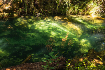 Beautiful Deep Green River Bed in Sillans-la-Cascade, France
