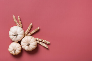 Group of decorative pumpkins and wheat top view on pink background. Autumn flat lay