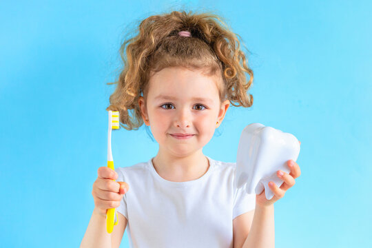 girl holding tooth dent and toothbrush. Kid training oral hygiene. creative medical dental dentistry sromatology. Child learning brushing, cleaning teeth. Prevention of caries. dental care kids
