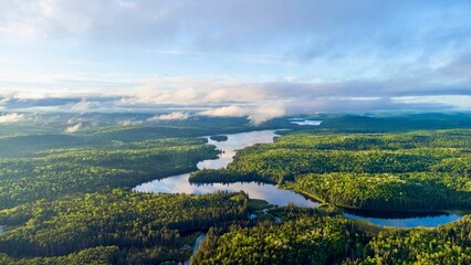 Aerial view of the forest in Algonquin park, Canada with green trees and a river and
