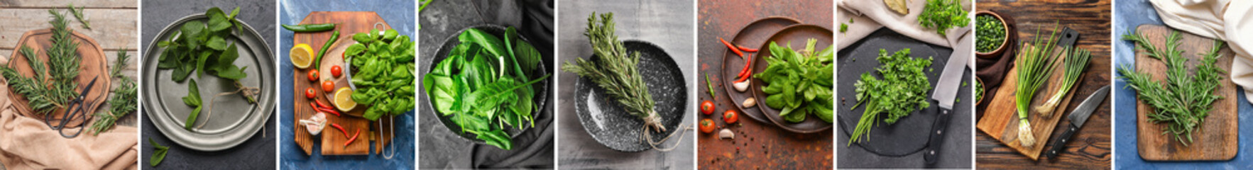 Collage with many different green herbs, top view