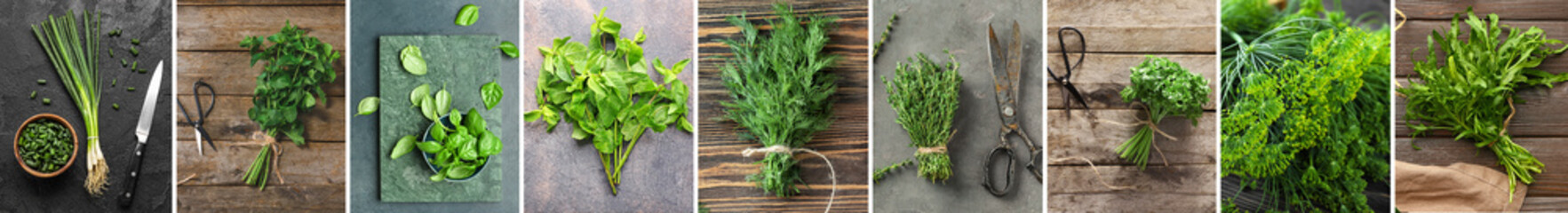Collage with many green herbs, top view