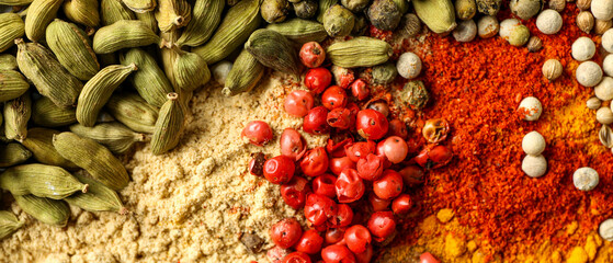 Different aromatic spices, closeup. Banner for design
