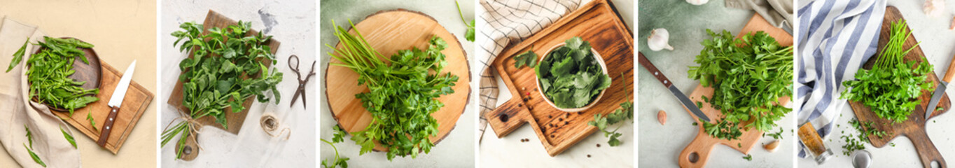 Collage with many green herbs on light background, top view
