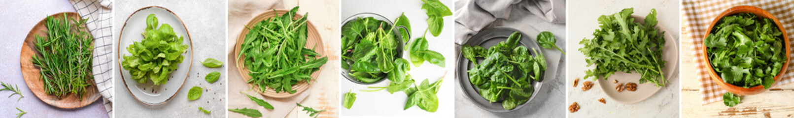 Collage with many green herbs on light background, top view