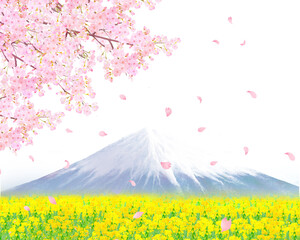 のどかな田舎の風景ー菜の花畑ー華やかな桜の花と光差し込む青空ー富士山の映えるフレーム背景素材白バックイラスト