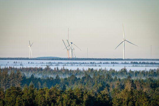 Scenic view of windmills behind green forests covered with fog in Osterild, Thy, Denmark
