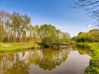 Rzeka Przemsza Dąbrowa Górnica © Grzegorz