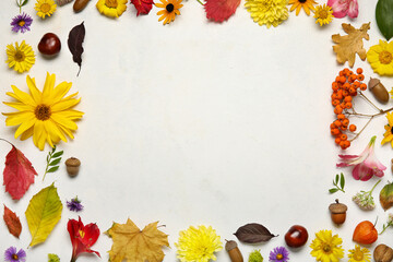 Frame made of natural forest decor and flowers on light background