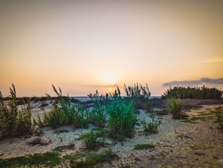 Beautiful sunset in windy Tarifa © Alicia