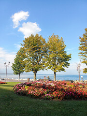 Naklejka premium autumn in the park