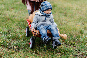 Autumn harvest organic pumpkins and apples. Happy children on pumpkin patch on cold autumn day,...