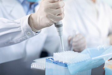 Scientist pipetting samples in laboratory