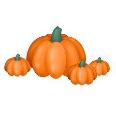 pumpkins vector illustration
