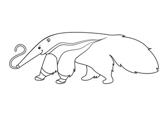 ant-eater vector illustration