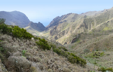 Fototapeta na wymiar Around Masca and Teno in Tenerife