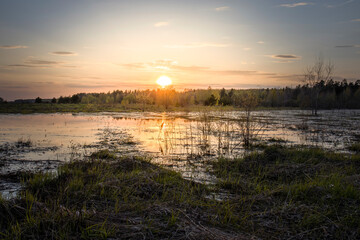 Fototapeta na wymiar Wetland area. evening landscape, sunset over the swamp. Early spring.