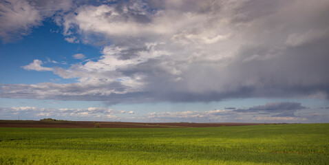 Spring landscape, dramatic sky by the horizon. Green field.