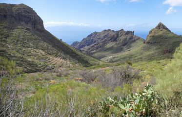 Around Masca and Teno in Tenerife