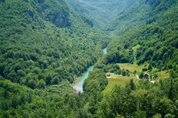 Fototapeta na wymiar Tara Valley Montenegro 2022 June