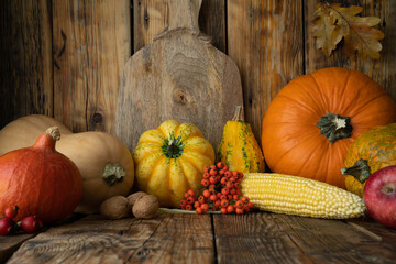 Variety of edible and decorative pumpkins kinds. Ornamental gourds and squash types, walnuts, corn on the cob. Autumn fall composition for Halloween or Thanksgiving. Copy space on wooden background.