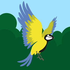titmouse in flight with spread wings