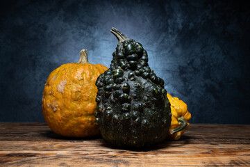 Small decorative pumpkins kinds. Ornamental gourds and squash types. Autumn or fall composition for...