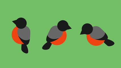 Three bullfinches, illustration, vector, cartoon