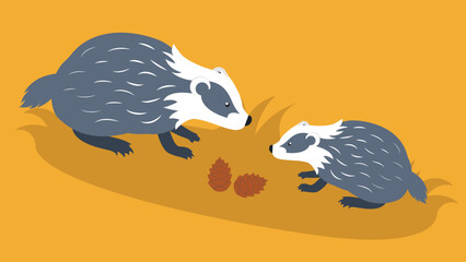 Two badgers sit near cones