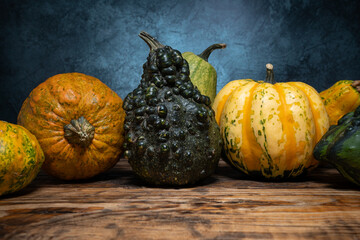 Variety of small decorative pumpkins kinds. Ornamental gourds and squash types. Autumn or fall...