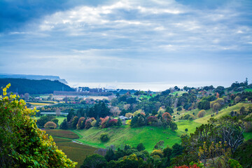 Autumn landscape with colourful valley of golden vineyards and changing trees under stormy sky. Beautiful autumn morning in Hawkes Bay, New Zealand