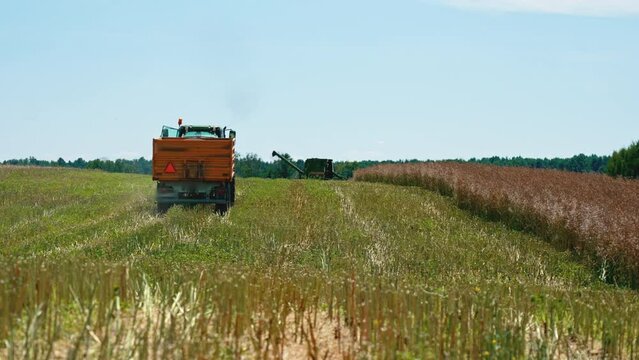 a tractor taking away the crop from the field. High quality 4k footage