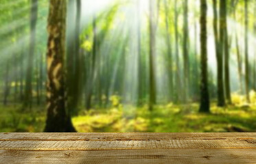 Wooden table top on blur  forest natural background in  park.For montage product display or design key visual layout.view of copy space.