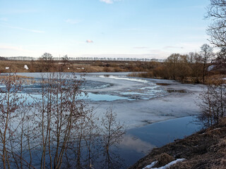 The bank of a small river in early spring