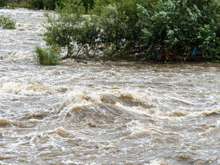 台風で増水した河川の風景