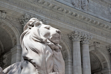 New York Public Library building & statue of lion in front of it. No people. - obrazy, fototapety, plakaty