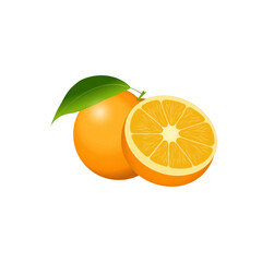 Vector illustration of an orange with leaves on a white background