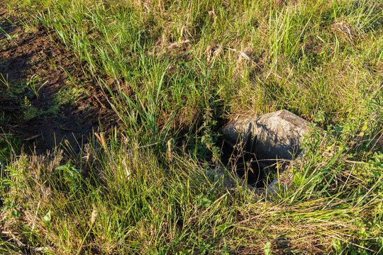 Water Inlet Of Wadi At Atlas Building Campus Wageningen University Has Almost Completely Dried Up As A Result Of The Heat Wave In The Summer