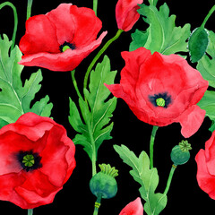 Naklejka premium Watercolor hand drawn poppies seamless pattern. Botany illustration of red poppy. Field of red flowers. Design for background, packaging, cover, decor, textile elements.