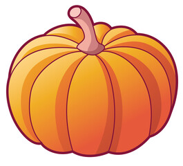 Pumpkin isolated illustration. Big ripe pumpkin for thanksgiving decoration