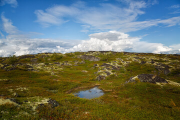 Lapland Zapovednik. Kola Peninsula. Russia