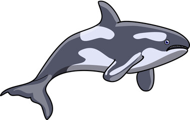 orca whale isolated on white transparent background