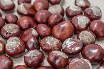 Chestnuts closeup in natural light.